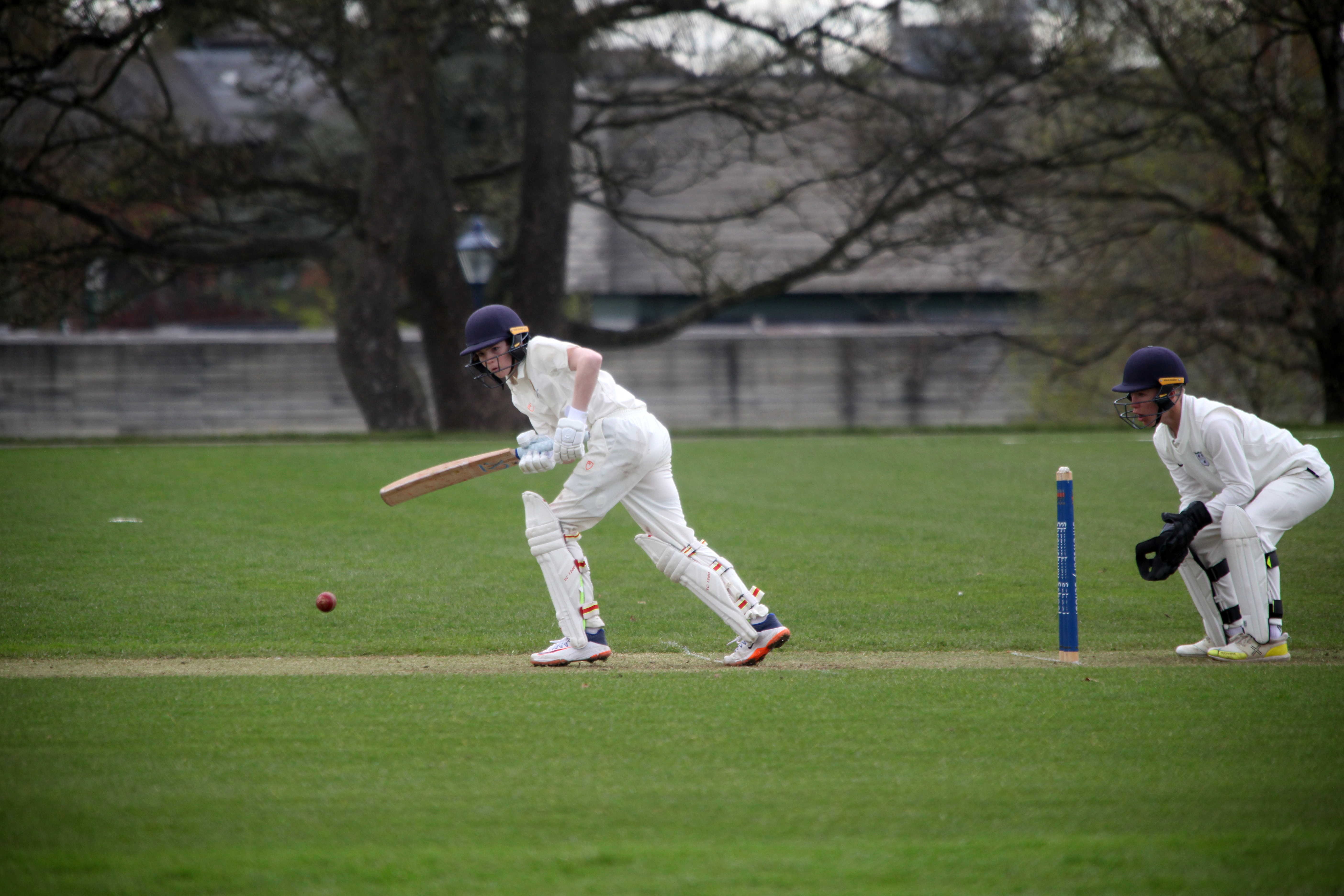 Sports